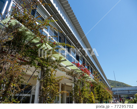 道の駅　保田小学校 77295702