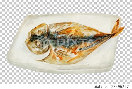 アジの開きの焼き魚(水彩イラスト)のイラスト素材 [77296227] - PIXTA