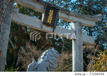 滋賀県近江八幡市にある沙沙貴神社の鳥居と狛犬 77296366