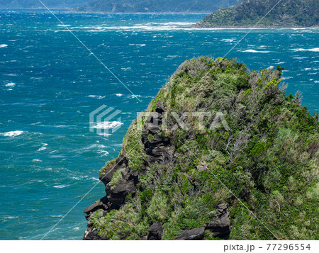 初夏の千葉県大房岬の風景 増間島 5月 初夏の千葉県大房岬の風景 増間島 5月 77296554