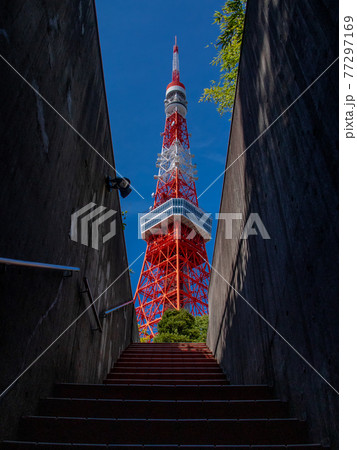 新緑の季節の東京タワーの写真素材
