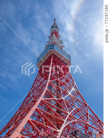 新緑の季節の東京タワー 新緑の季節の東京タワー 77297180