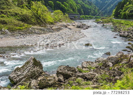 《岐阜県》郡上市　長良川 77298253