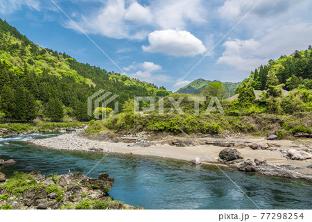 《岐阜県》郡上市　長良川 77298254