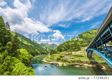 《岐阜県》郡上市　長良川 77298261