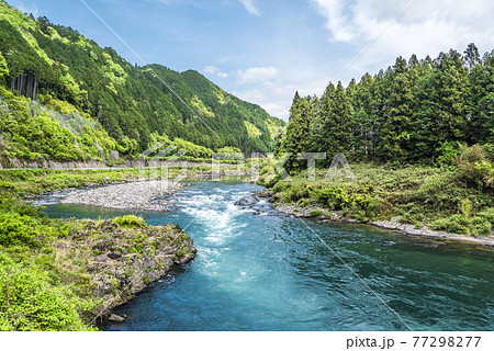 《岐阜県》郡上市　長良川 77298277