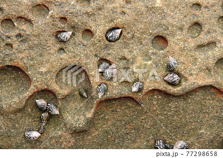 竜串奇岩群07 竜串奇岩群07 77298658