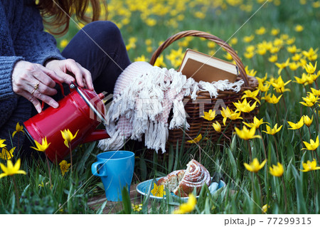 girl on a picnic on the meadow girl on a picnic on the meadow 77299315
