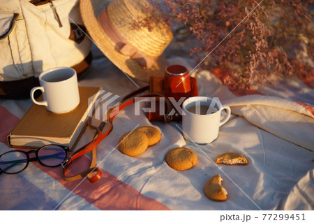 picnic by the sea 77299451