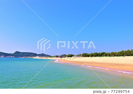 片男波海水浴場夏の風景 77299754