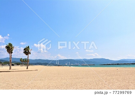 片男波海水浴場夏の風景 77299769