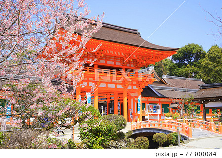 上賀茂神社、北区、京都市、京都府、日本 上賀茂神社、北区、京都市、京都府、日本 77300084
