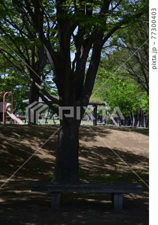 スナップフォト：袖ヶ浦東近隣公園　夏の習志野市ウォーキング 77300403
