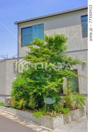 きらり代沢保育園 77300415