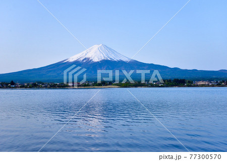 初夏の富士山 河口湖 初夏の富士山 河口湖 77300570