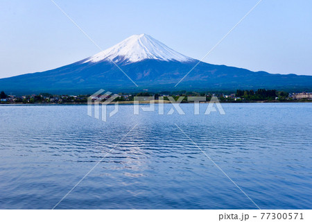 初夏の富士山　河口湖 77300571