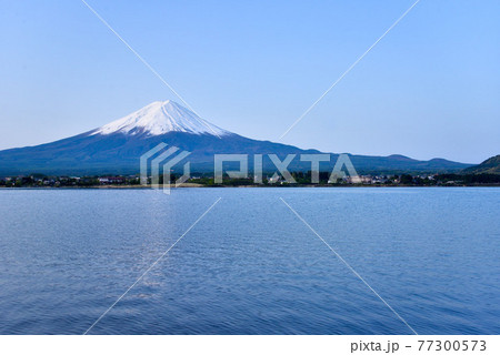 初夏の富士山 河口湖 初夏の富士山 河口湖 77300573