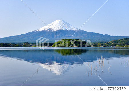 初夏の富士山 河口湖 初夏の富士山 河口湖 77300579