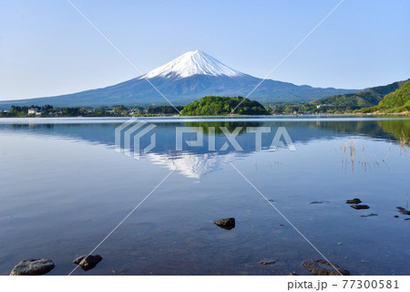 初夏の富士山 河口湖 初夏の富士山 河口湖 77300581