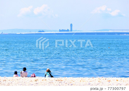 泉南マーブルビーチの風景 77300797