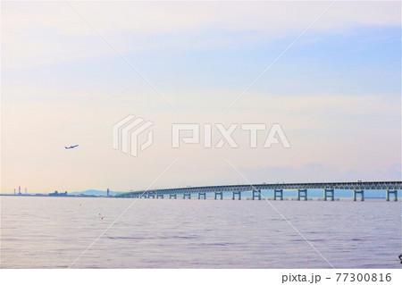 泉南マーブルビーチの風景 泉南マーブルビーチの風景 77300816