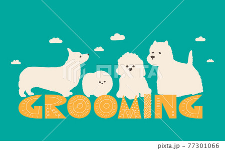 Dog grooming services. Illustration for a haircut and grooming salon. Flat color vector for pet shop. Dog grooming services. Illustration for a haircut and grooming salon. Flat color vector for pet shop. 77301066