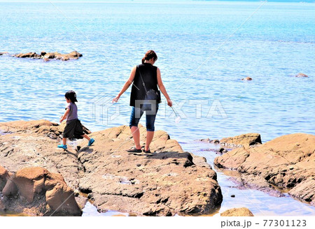 加太海岸夏の風景 加太海岸夏の風景 77301123