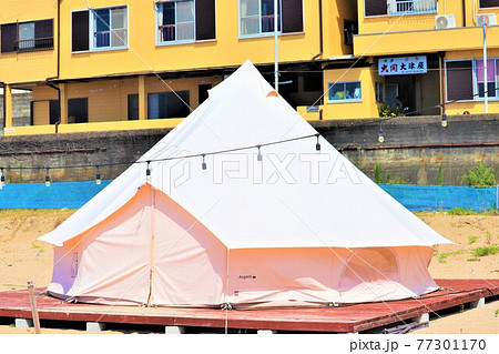 加太海岸夏の風景 77301170