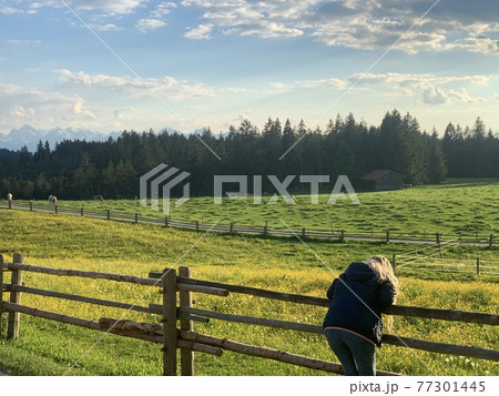 また明日行こう 77301445