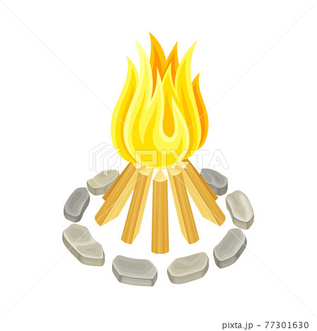 Campfire With Fire Ring Of Stones And Firewood のイラスト素材