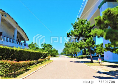 二色の浜海水浴場 77301700