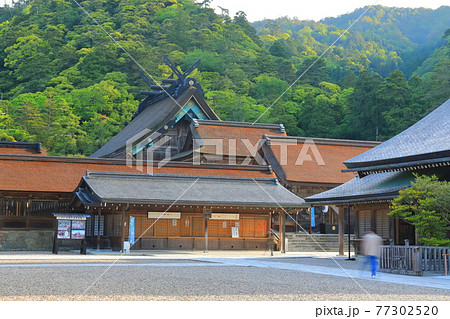 【島根県】晴天下の出雲大社 本殿 【島根県】晴天下の出雲大社 本殿 77302520