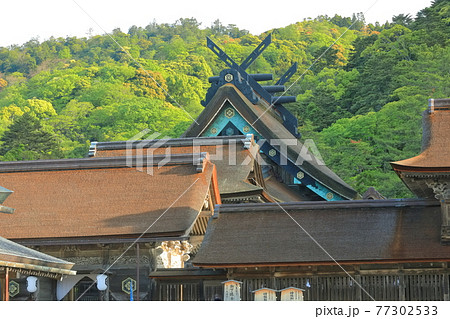 【島根県】晴天下の出雲大社　御本殿 77302533