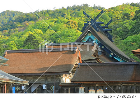 【島根県】晴天下の出雲大社　御本殿 77302537