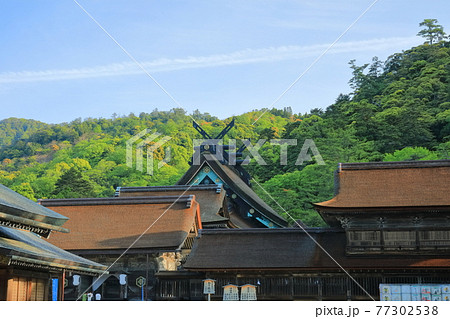 【島根県】晴天下の出雲大社　御本殿 77302538