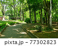 新緑の玉川上水道 鷹の台近辺 新緑の玉川上水道 鷹の台近辺 77302823