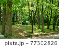 新緑の玉川上水道 小平市民体育館 新緑の玉川上水道 小平市民体育館 77302826