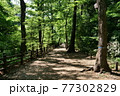 新緑の玉川上水道 鷹の台近辺 新緑の玉川上水道 鷹の台近辺 77302829