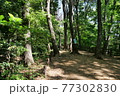 新緑の玉川上水道 散歩道 新緑の玉川上水道 散歩道 77302830