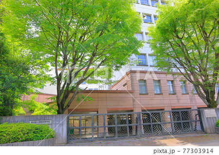 東京都立国際高等学校_左側 東京都立国際高等学校_左側 77303914