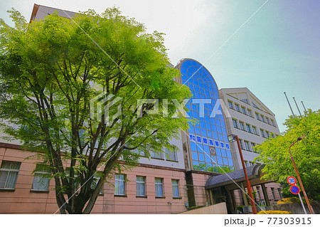 東京都立国際高等学校 東京都立国際高等学校 77303915