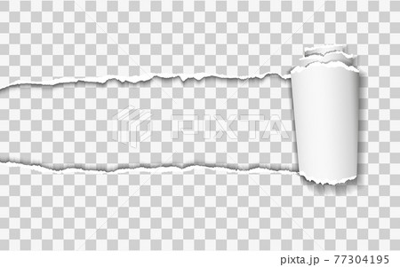 Vector illustration of ripped paper with transparent background Vector illustration of ripped paper with transparent background 77304195