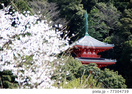 岐阜城 岐阜城 77304739