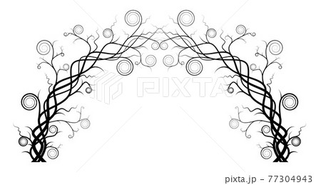 Silhouette of vine isolated on white background. Ivy arch vector illustration. Dry branch tree. Silhouette of vine isolated on white background. Ivy arch vector illustration. Dry branch tree. 77304943