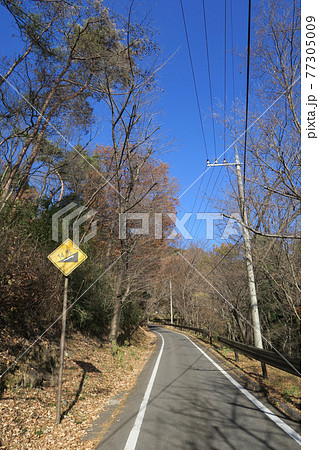 Hiking road of Mt Mikamo yama in Sano, Tochigi, Japan. December 18, 2020. 77305009