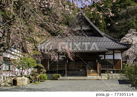 智頭宿 光専寺 鳥取県八頭郡智頭町 智頭宿 光専寺 鳥取県八頭郡智頭町 77305114