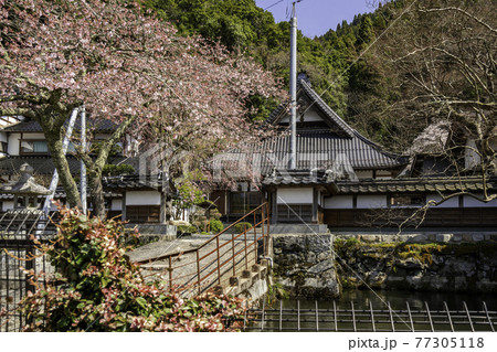 智頭宿 光専寺 鳥取県八頭郡智頭町 智頭宿 光専寺 鳥取県八頭郡智頭町 77305118