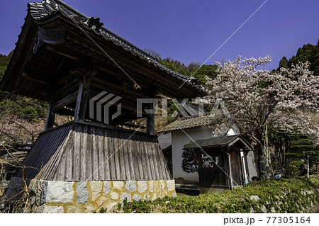智頭宿　光専寺　鐘楼　鳥取県八頭郡智頭町 77305164