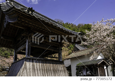 智頭宿 光専寺 鐘楼 鳥取県八頭郡智頭町 智頭宿 光専寺 鐘楼 鳥取県八頭郡智頭町 77305172