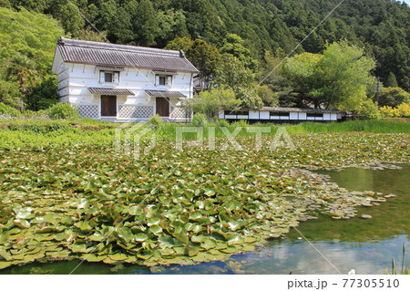 加茂荘花鳥園 お蔵 加茂荘花鳥園 お蔵 77305510